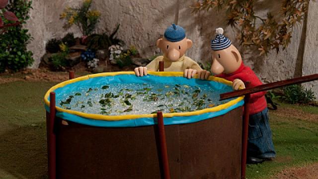 The Pool