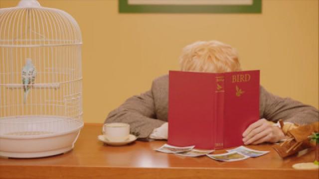 하성운 (HA SUNG WOON) - 'BIRD' MV