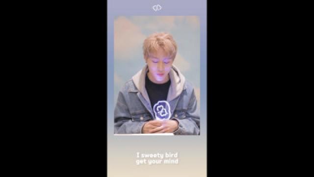 하성운 - ‘BIRD' 응원법