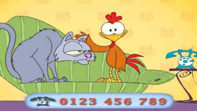 Le Poulet fou adopte un Chat