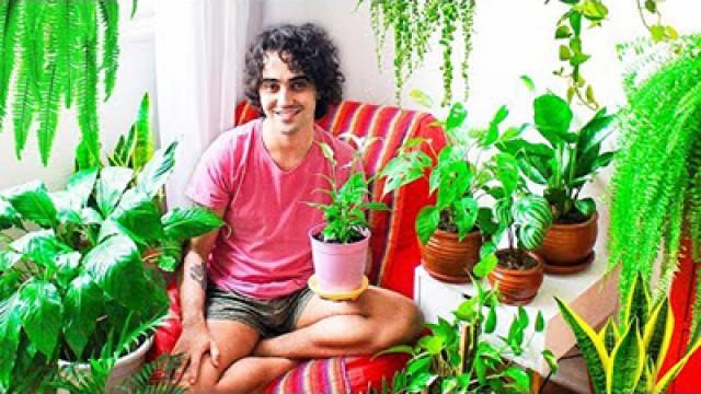 TOUR PELAS MINHAS PLANTAS