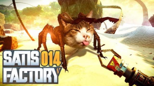 Furchtbare KATZEN verprügeln!! (Reise)