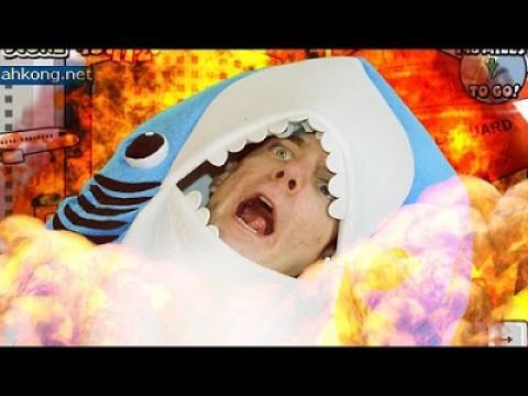 SHARK TIME | Sydney Shark