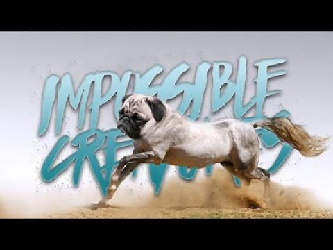 ARMY OF MISFITS! Impossible Creatures