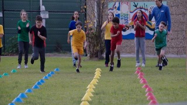 Sprawa zepsutego dnia sportu