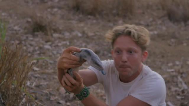 Hunting the Ghost Serpent