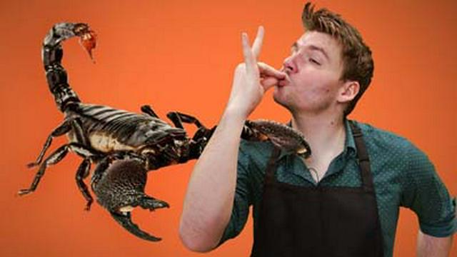 COOKING BUGS FOR KIDS