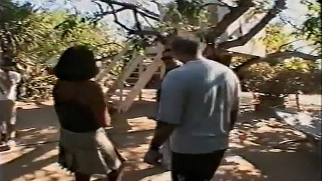 Tree House