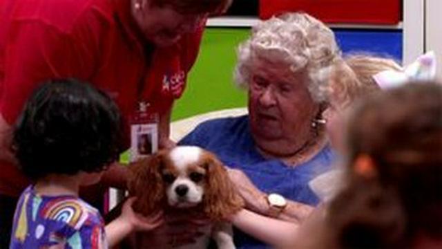 Therapy Dogs (Season 1, Episode 3 Extra)