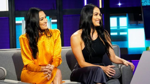 Nikki & Brie Bella