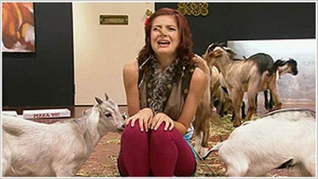 Give a Goat