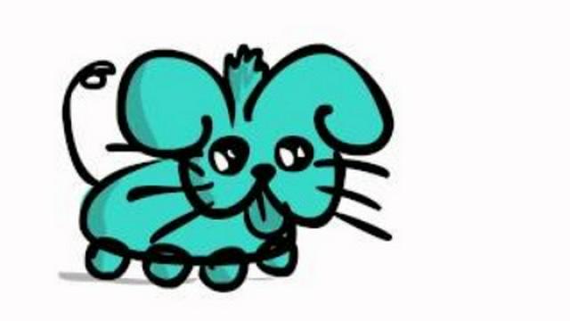 Il gatto