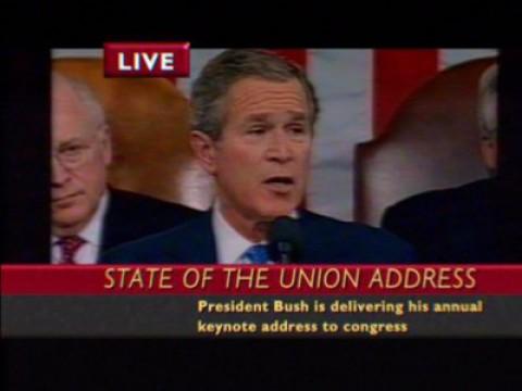 Bushwhacked 2