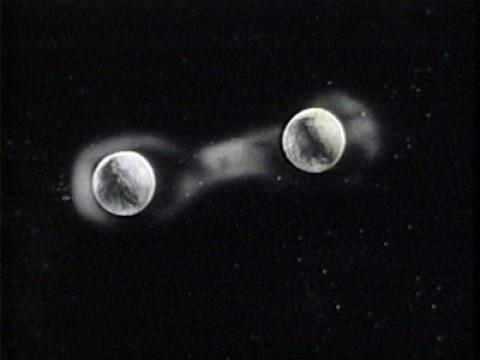 Crash of the Moons (1)