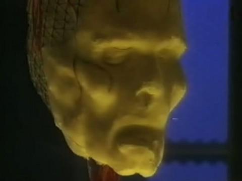 Faces in the Night