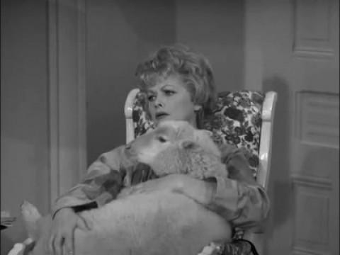 Lucy Buys a Sheep