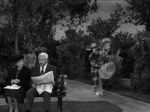 Lucy and the Runaway Butterfly