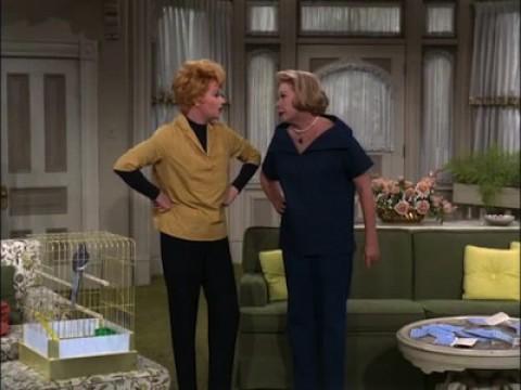Lucy Gets the Bird