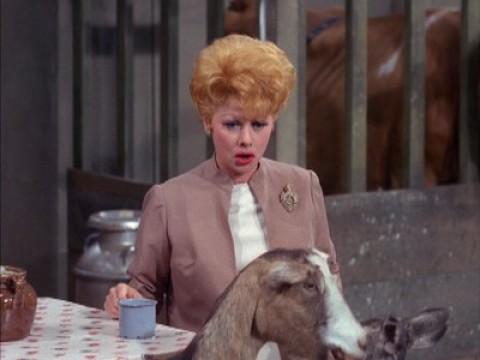 Lucy Discovers Wayne Newton