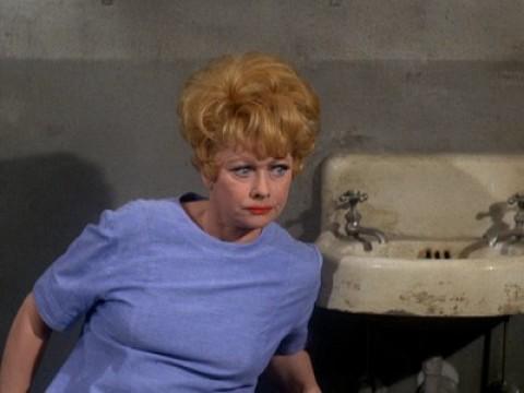 Lucy Meets the Law