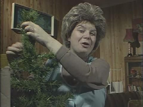 Rab C Nesbitt's Seasonal Greet