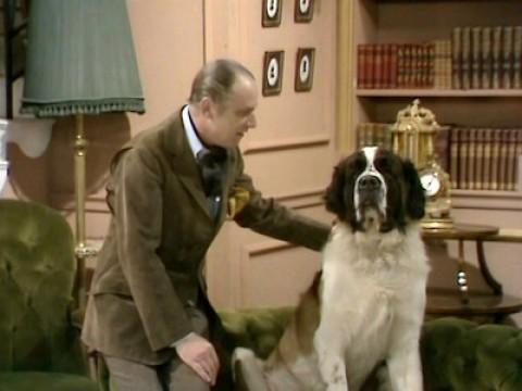 One Dog And His Man