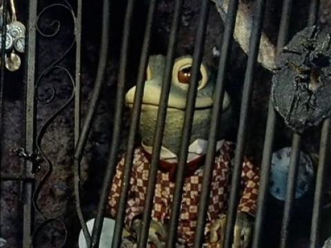 The Kidnapping of Toad