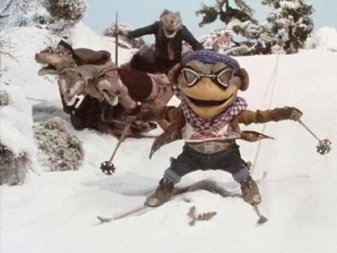 Winter Sports