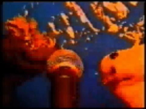 Shorts - Rapper