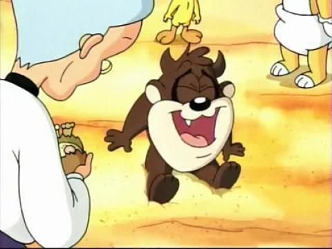 Taz You Like It
