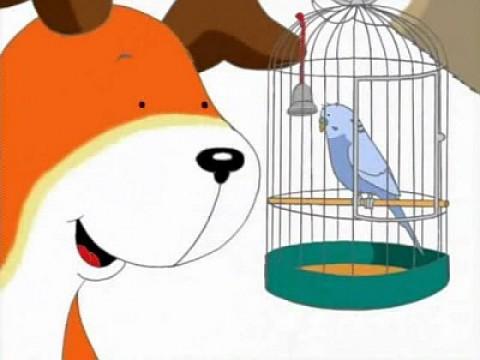 Jake's Bird