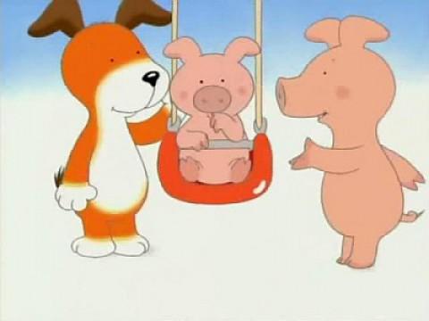 Pig's Cousin