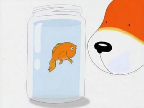 The Goldfish