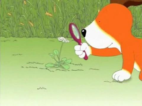 The Magnifying Glass