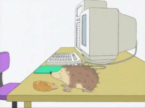 Hedgehog Watch