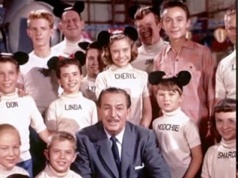 Working with Walt