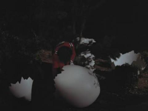 Il nostro inviato speciale P1