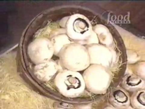 Kobe vs Shoji Yamaoka (Jumbo Mushroom)