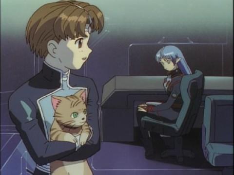 星界の戦旗