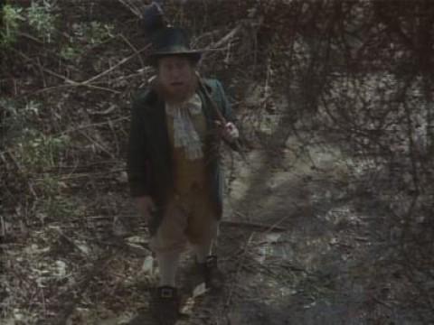 The Leprechaun Artist