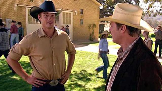Me comería un caballo