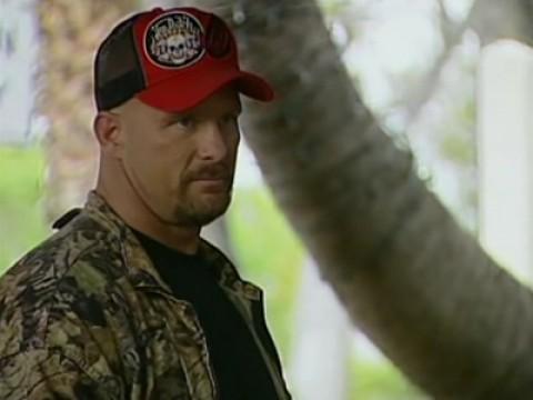 Bizarre, Ashlee Simpson, Stone Cold Steve Austin
