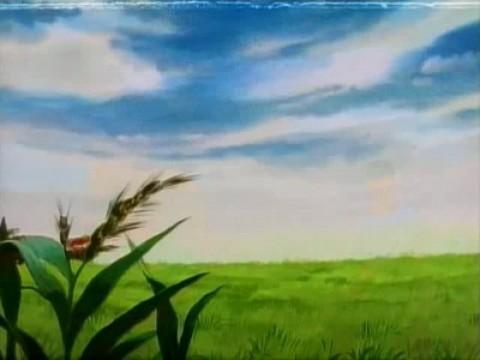 侵攻