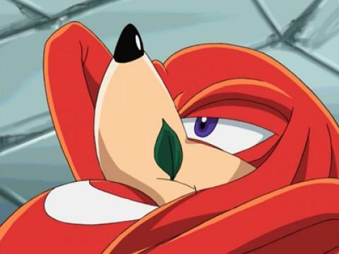 Knuckles und Hawk