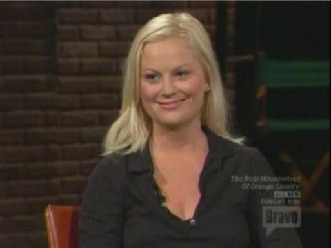 Amy Poehler