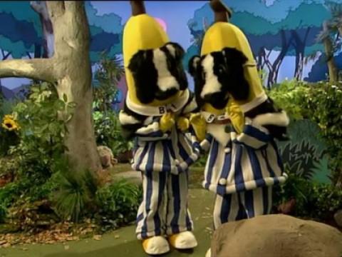 Sheepdog Bananas