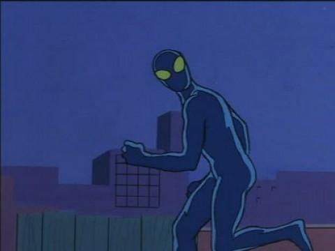 Il ragno e la mosca