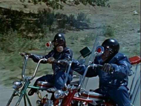 La misteriosa banda di motociclisti / Il grande concorso di bellezza