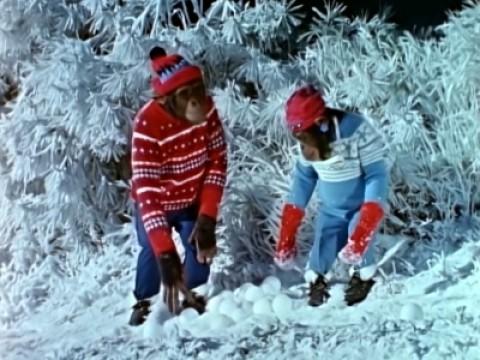 Un diamante nella neve (prima parte) / Un diamante nella neve (seconda parte)