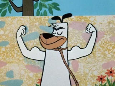 El perro con Miedigatitis